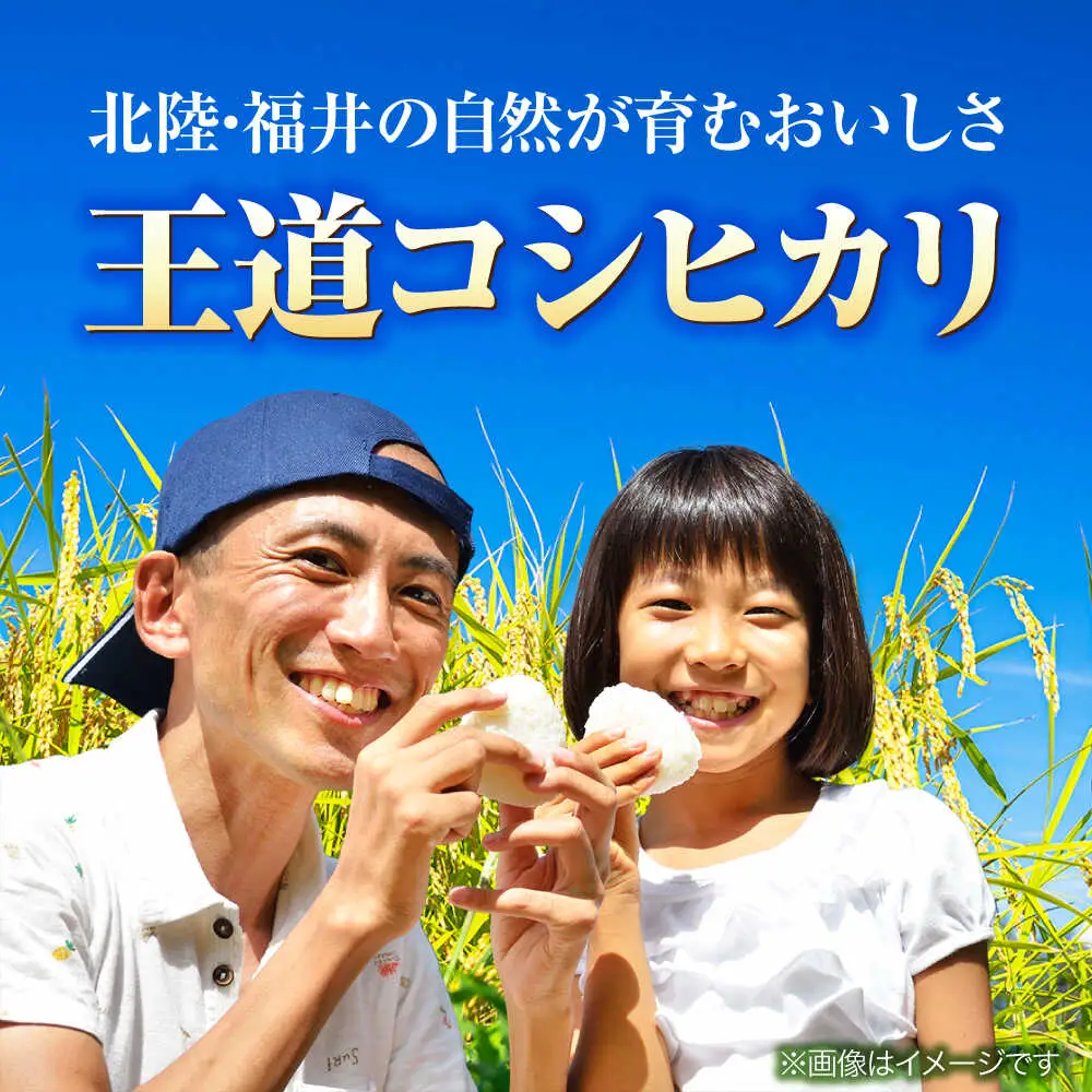 【令和8年産 新米】 【先行予約 /9月中旬以降発送】　福井県産 コシヒカリ 白米 10kg / 米 お米 精米 国産米 / 小浜市 / 北川博司 [BFDG001]