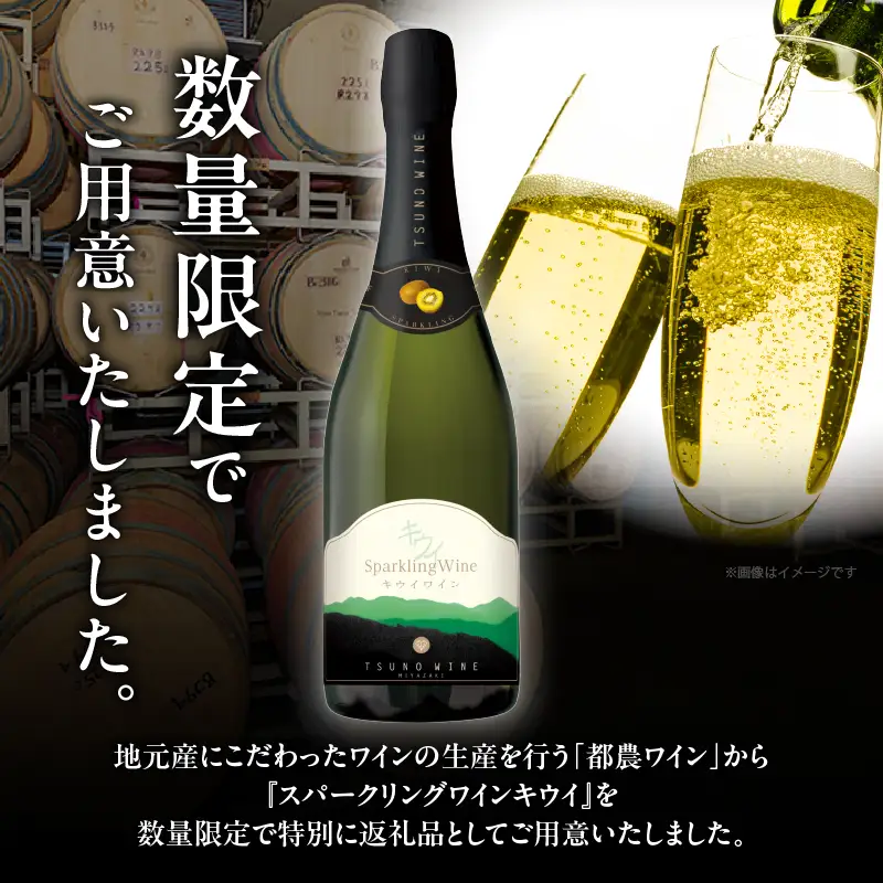 【数量限定】スパークリングワイン キウイ(計1本)酒 飲料 アルコール 国産_T014-0235