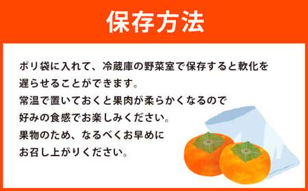 A198 福岡県産 ブランド柿・秋王 約1.5kg（4～6玉） 【2026年10月下旬～11月下旬発送予定】 柿 甘柿 秋王 果物 くだもの フルーツ