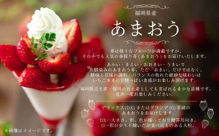 A159 【春】 あまおう 6パック いちご 【2027年2月上旬～3月下旬以降発送予定】