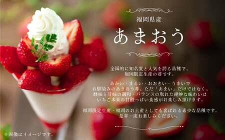 A161 【ギフト】 あまおう 24～30粒 いちご 【2026年12月上旬～2027年3月下旬発送予定】