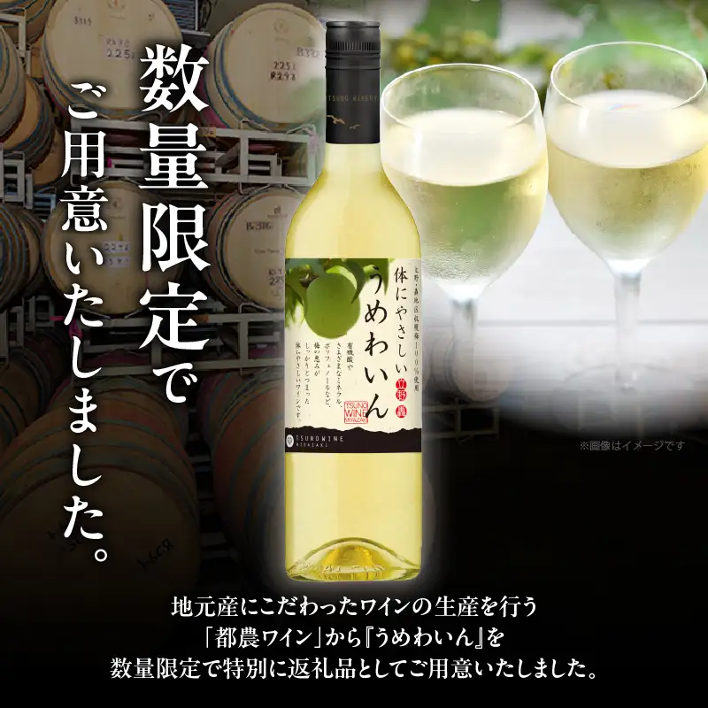 【数量限定】うめわいん(計1本) 酒 飲料 アルコール 国産_T014-0295