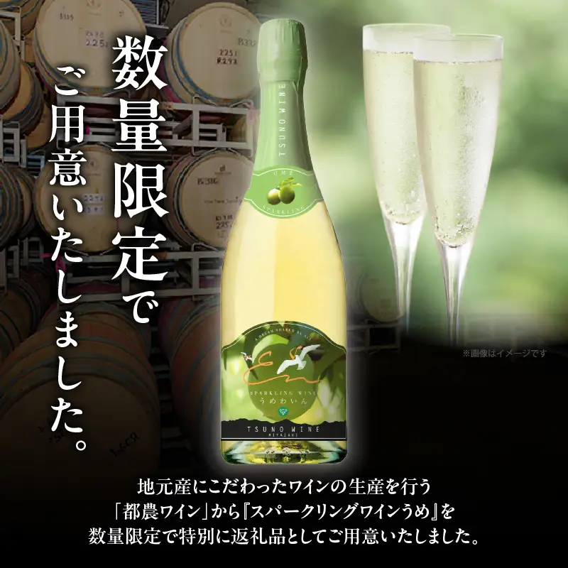 【数量限定】スパークリングワインうめ(計1本) 酒 飲料 アルコール 国産_T014-0305
