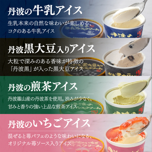 アイスクリーム 丹波篠山素材  13個(8種類)  KMH008