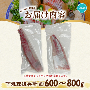 カンパチ 刺身用 約650ｇ～750ｇ かんぱち 勘八 小分け 養殖 冷凍
