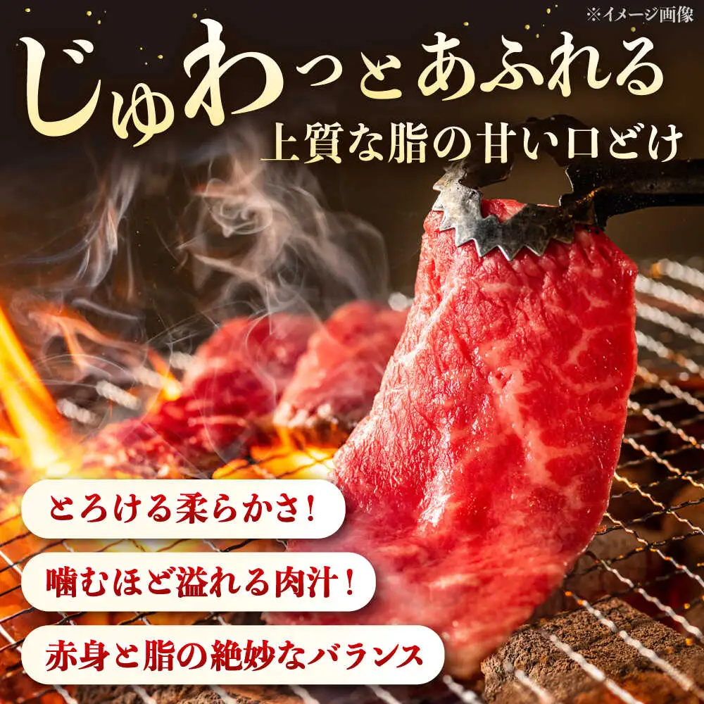 博多和牛 切り落とし 500g [ADCB004] 牛肉切り落とし