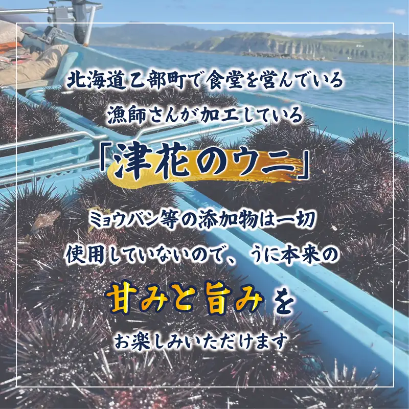 漁師の手作り本物の味！生塩水ウニ ミョウバン不使用【津花食堂 塩水ウニ：100g×2パック】＜ 北海道 北海道産 ウニ うに 雲丹 塩水ウニ ミョウバン不使用 生ウニ うに丼 海鮮丼 寿司 ＞