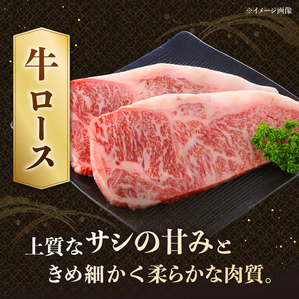 博多和牛 ロースステーキ 400g（200g×2枚） [ADCB010] 博多和牛 ロース ステーキ用 国産