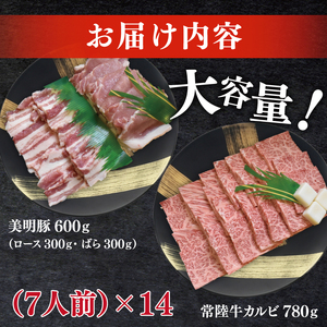 常陸牛A5ランク・美明豚焼肉セット　合計約100人前！（EK-88）