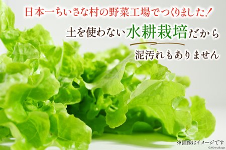 富山のおいしい水で生産した安心野菜（12袋）