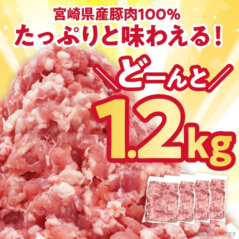宮崎県産豚ミンチ肉 計1.2kg(300g×4パック) 肉 豚 豚肉 国産_T025-0415