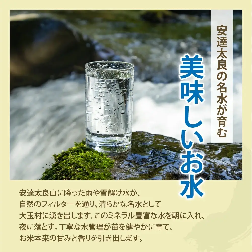 【ふるなびWEEK対象】【令和７年産】特別栽培米 コシヒカリ 5kg