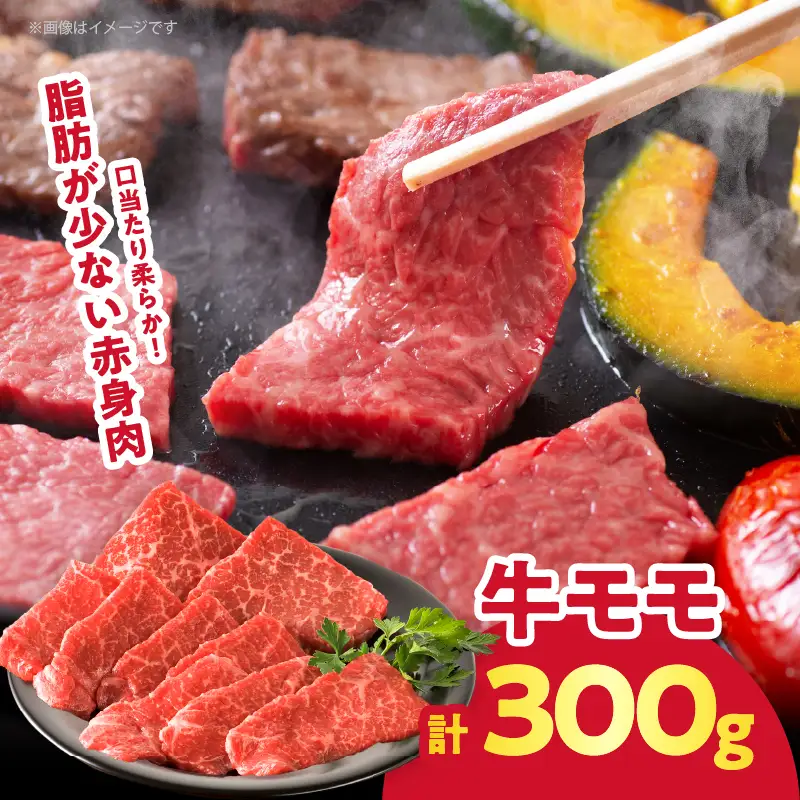 ≪訳あり≫牛&豚 贅沢盛り合わせ（牛モモ・カルビ・豚バラ）合計1.2kg 肉 牛 豚 豚肉 牛肉 おかず 国産_T025-0455
