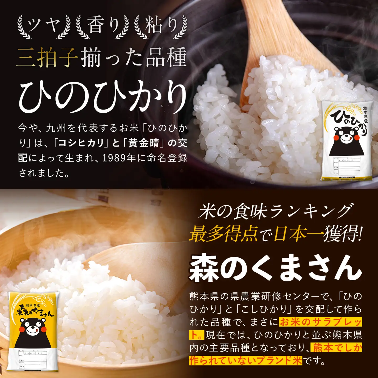 無洗米 令和7年産 ひのひかり 森のくまさん 20kg 12ヶ月 定期 無洗