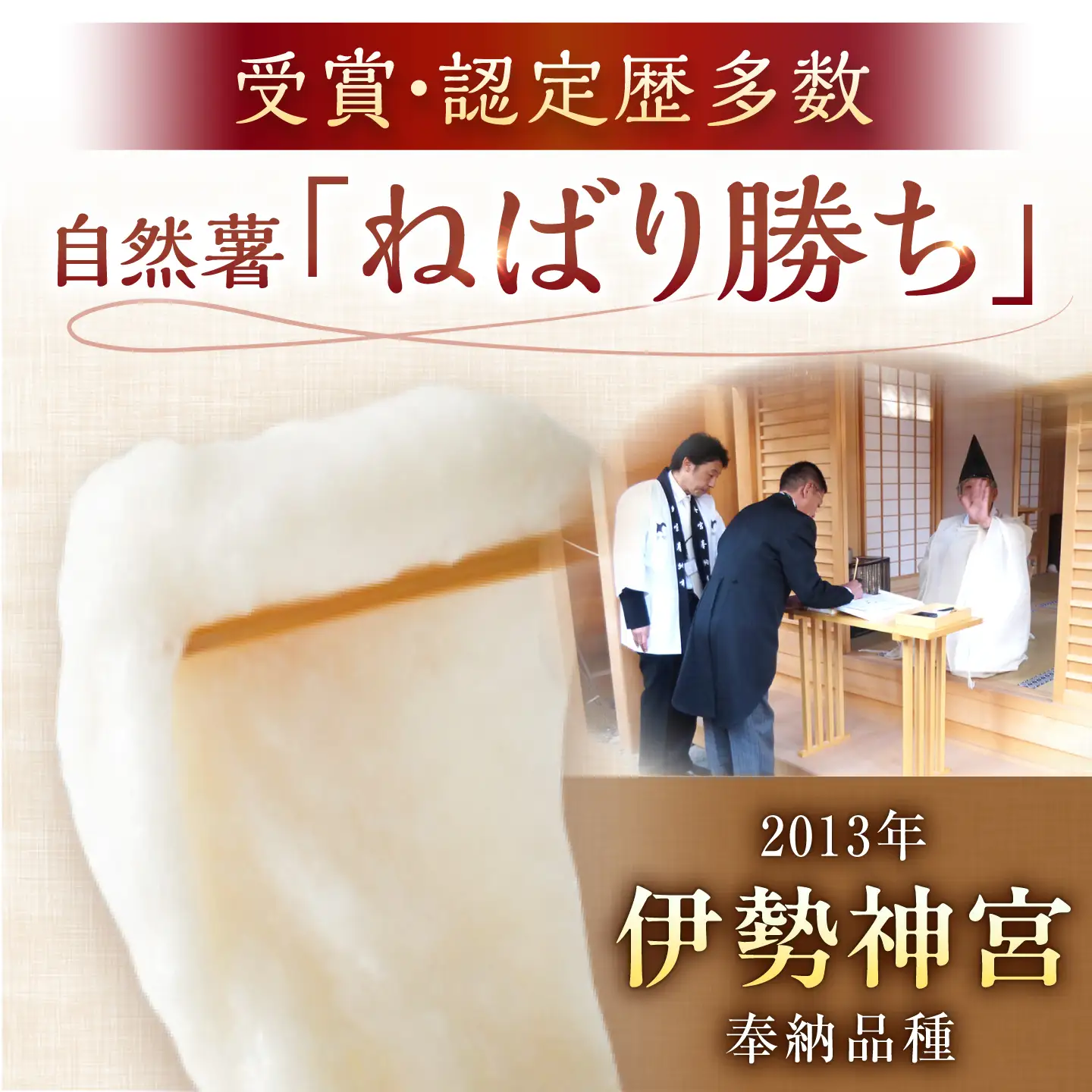 自然薯『ねばり勝ち』 1本入 / 恵那市 / 水戸屋 [AUFZ007] 自然薯