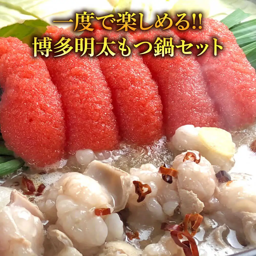 博多 明太醤油もつ鍋 セット 2-3人前[BGAF010] めんたいチューブ