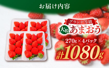 【先行予約】博多あまおう いちご 1080g [BGBQ001] あまおう