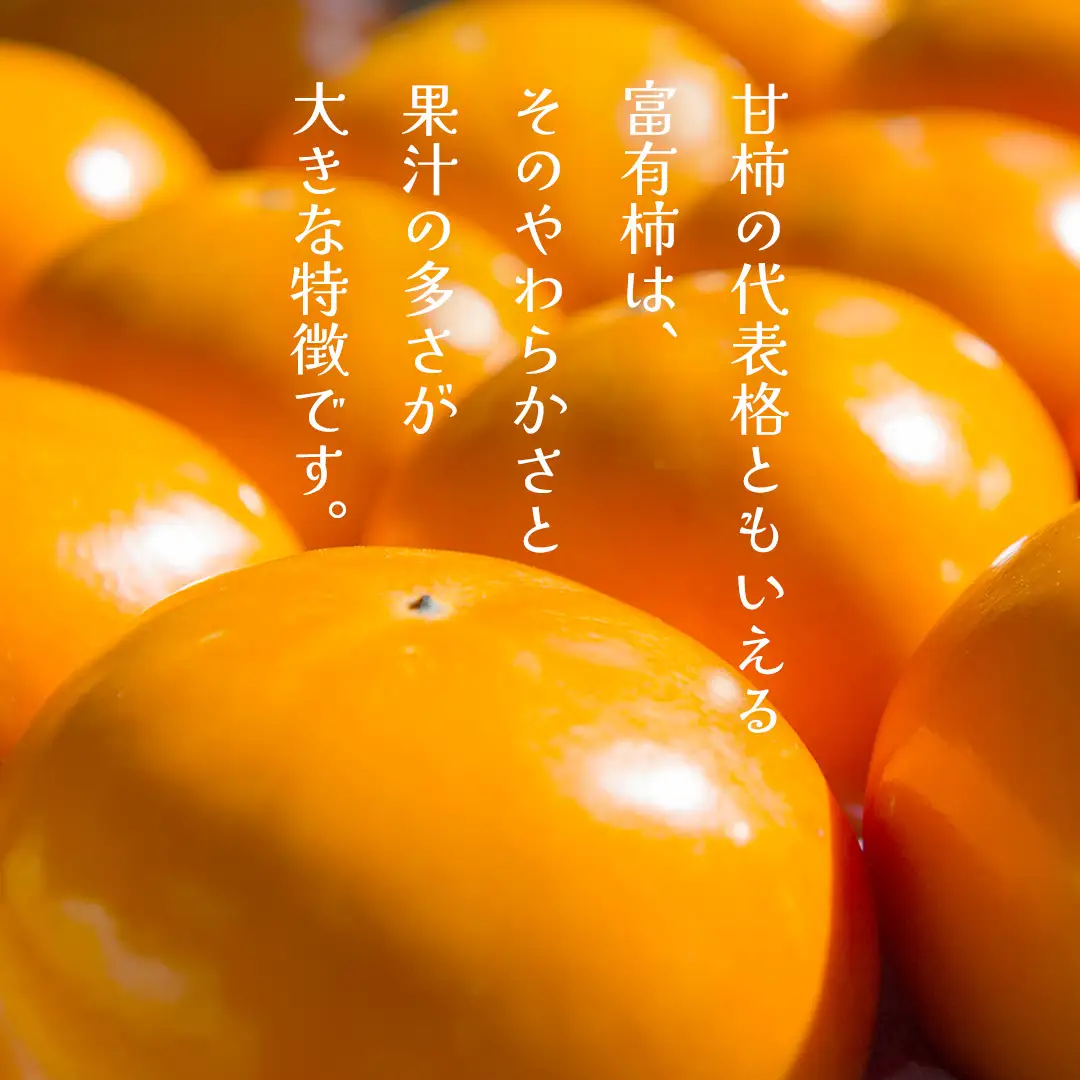 富有柿 12～16玉（茨城県共通返礼品：かすみがうら市） 【2026年11月中旬発送開始】 柿 かき 富有カキ ( 1箱 ) 果物 フルーツ くだもの カキ 富有かき 秋 旬 発送 産地直送 農家直送 産直 茨城県 [FF003sa]	