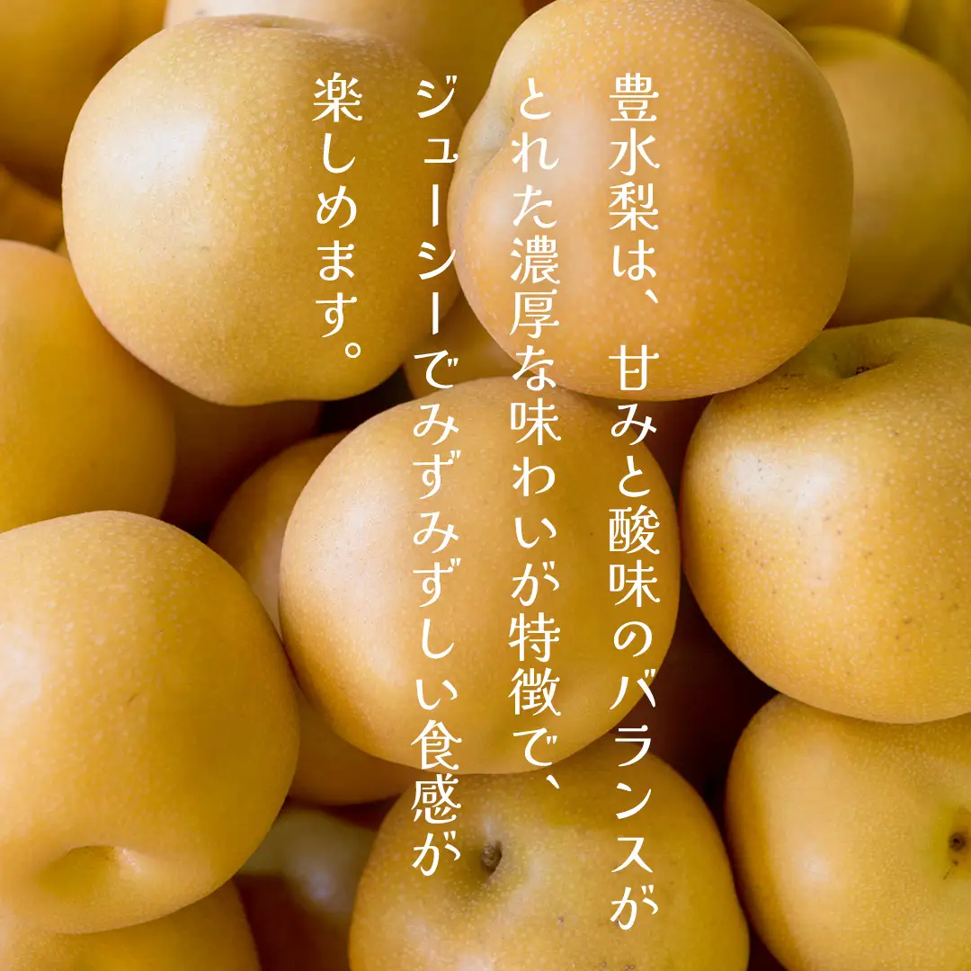 【ふるなびWEEK対象】豊水 約5kg（茨城県共通返礼品：かすみがうら市） 2026年9月上旬発送開始 梨 数量限定 なし ナシ フルーツ 果物 旬 産地直送 [FF004sa]