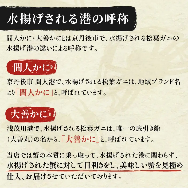 【蟹の匠 魚政】京丹後市産 活きたまま届く！　間人ガニ大善ガニ 特撰 特大サイズ（1200～1300g) 1匹　香味ミスト付き(1月～3月発送）| ズワイガニ カニ 姿