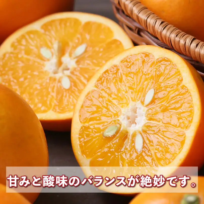 大谷 伊予柑 約 4kg 家庭用 果物 矢野青果 果物 B012-171041