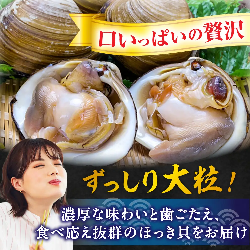 【2026年7月中旬以降順次発送再開】活ほっき貝 4kg 約14〜24個【鵡川漁業協同組合】ホッキ 冷蔵発送 [AXAL006]