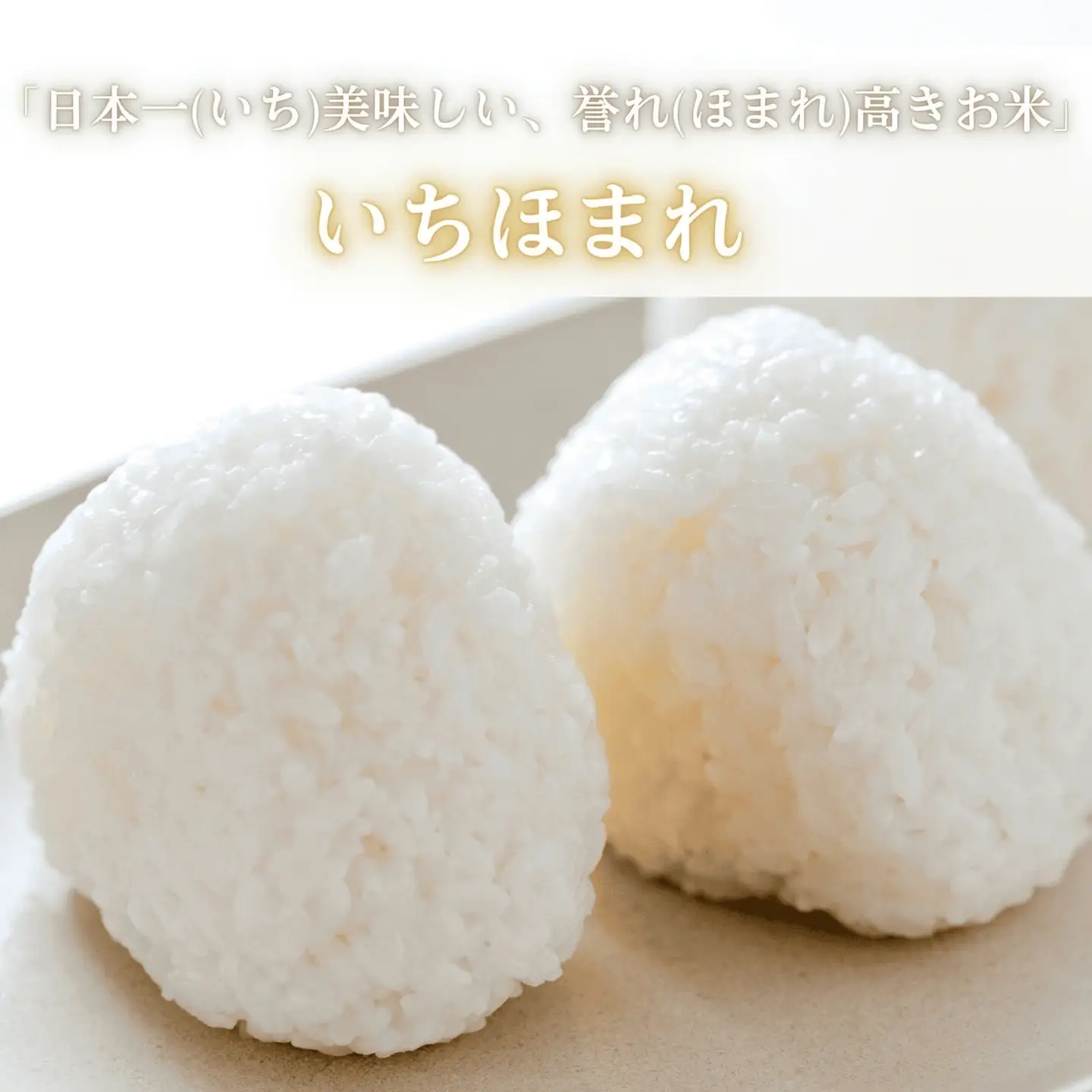 福井県産いちほまれ 米 5kg [B-187002] / いちほまれ