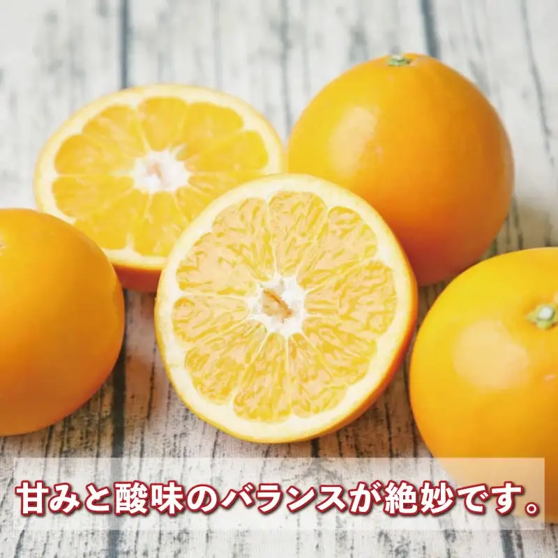 大谷 伊予柑 2kg 特選 果物 矢野青果 果物 B012-171042