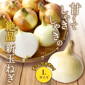 和歌山県産新玉ねぎ約10kg　Lサイズ 約25個入り　こだわり農家厳選！【2027年4月末頃～6月中旬頃に発送予定】人気 おすすめ たまねぎ 玉ねぎ 玉葱 タマネギ オニオン スープ サラダ 国産 野菜 新鮮 ビッグサイズ 大きい BBQ【BK-kgr033】