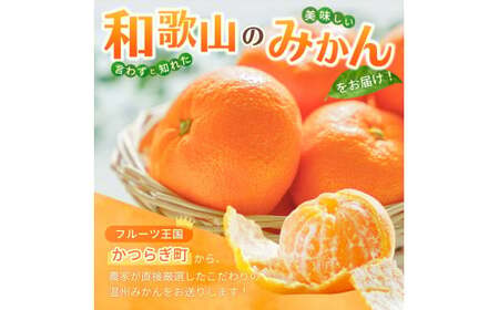 和歌山県産温州みかん　秀品　約5kg（約40個～60個入）【先行予約】【2026年11月上旬～12月中旬頃順次発送予定】 / みかん フルーツ 果物 柑橘 和歌山【kgr032A】