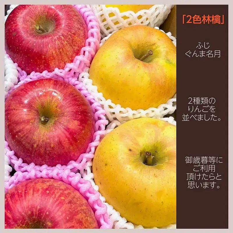 りんご 2色 リンゴ ぐんま名月 フジ 5kg 16～18個 御歳暮 ＜有我果樹園＞ りんご リンゴ 林檎 デザート フルーツ 果物 くだもの F7X-0285