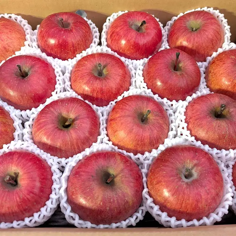 須賀川市産 リンゴ 贈答用 10kg（30～32個）＜箭内厳雄果樹園＞ りんご リンゴ 林檎 デザート フルーツ 果物 くだもの F7X-0290