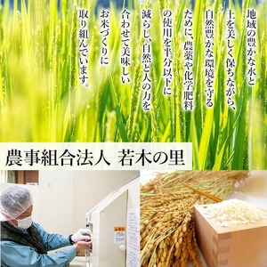 【令和8年産 新米】特別栽培米 ササニシキ 15kg お米 おこめ 米 コメ 白米 ご飯 ごはん おにぎり お弁当【農事組合法人若木の里】ta535