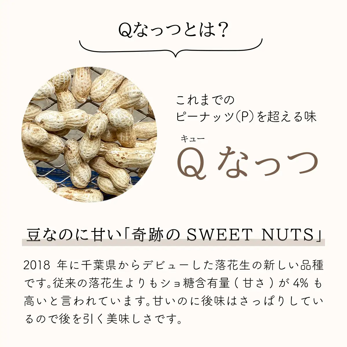 【先行受付・9月中旬より順次発送！】Qナッツ 生落花生 1.5kg SMAH014／ふるさと納税 落花生 生 生落花生 Qナッツ 生Qナッツ A品 大粒 希少 旬 季節限定 ふっくら 柔らか ほくほく 甘い 塩ゆで 千葉県 山武市 