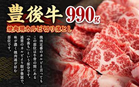 【大分県産】 豊後牛 焼肉用 カルビ 切り落とし 約990g （約330g×3パック） 牛肉 中落ち