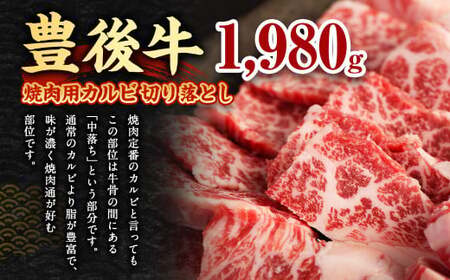 【大分県産】 豊後牛 焼肉用 カルビ 切り落とし 約1.98kg （約330g×6パック） 牛肉 中落ち