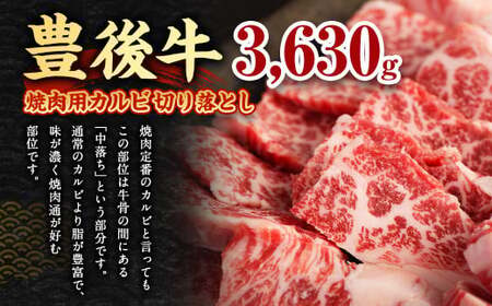 【大分県産】 豊後牛 焼肉用 カルビ 切り落とし 約3.63kg （約330g×11パック） 牛肉 中落ち