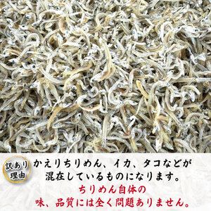 【獲れたて即加工！】 ちりめん 訳あり 400g  ちりめんじゃこ 徳島 小松島