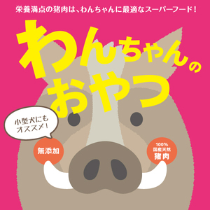 ドッグフード 猪ドライミンチスティック 40g×3P | 犬 餌 おやつ D112