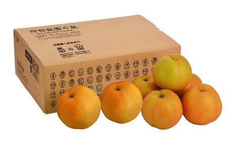 阿部梨園の梨（3kg　レギュラー箱）あきづき 旬の梨