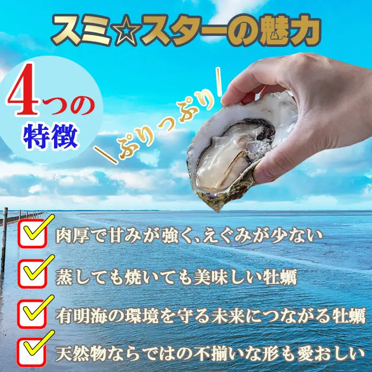 【天然】有明海産住之江牡蠣　冷凍スミ☆スター 2kg 牡蠣 冷凍 殻付き B110-030