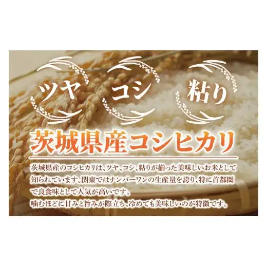 先行予約 令和8年産 特別栽培農産物認証 コシヒカリ 精米 ５kg 特栽米 ネオニコフリー 減農薬 減化学肥料 安心 安全 こしひかり 白米 弁当 おにぎり オニギリ 有機肥料 特別栽培米 エコ農産物 茨城県産米【2026年9月より順次発送】(86-01)