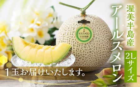 【9月発送】メロン 2L × 1玉 日研農園 メロン