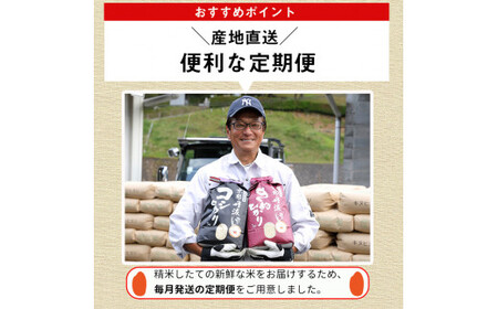 【8回定期便】きぬひかり 5kg 定期便 精米 白米