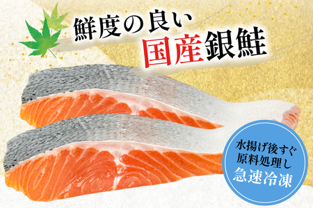 訳あり 国産 減塩 厚切り 塩銀鮭 切身 計 3kg 