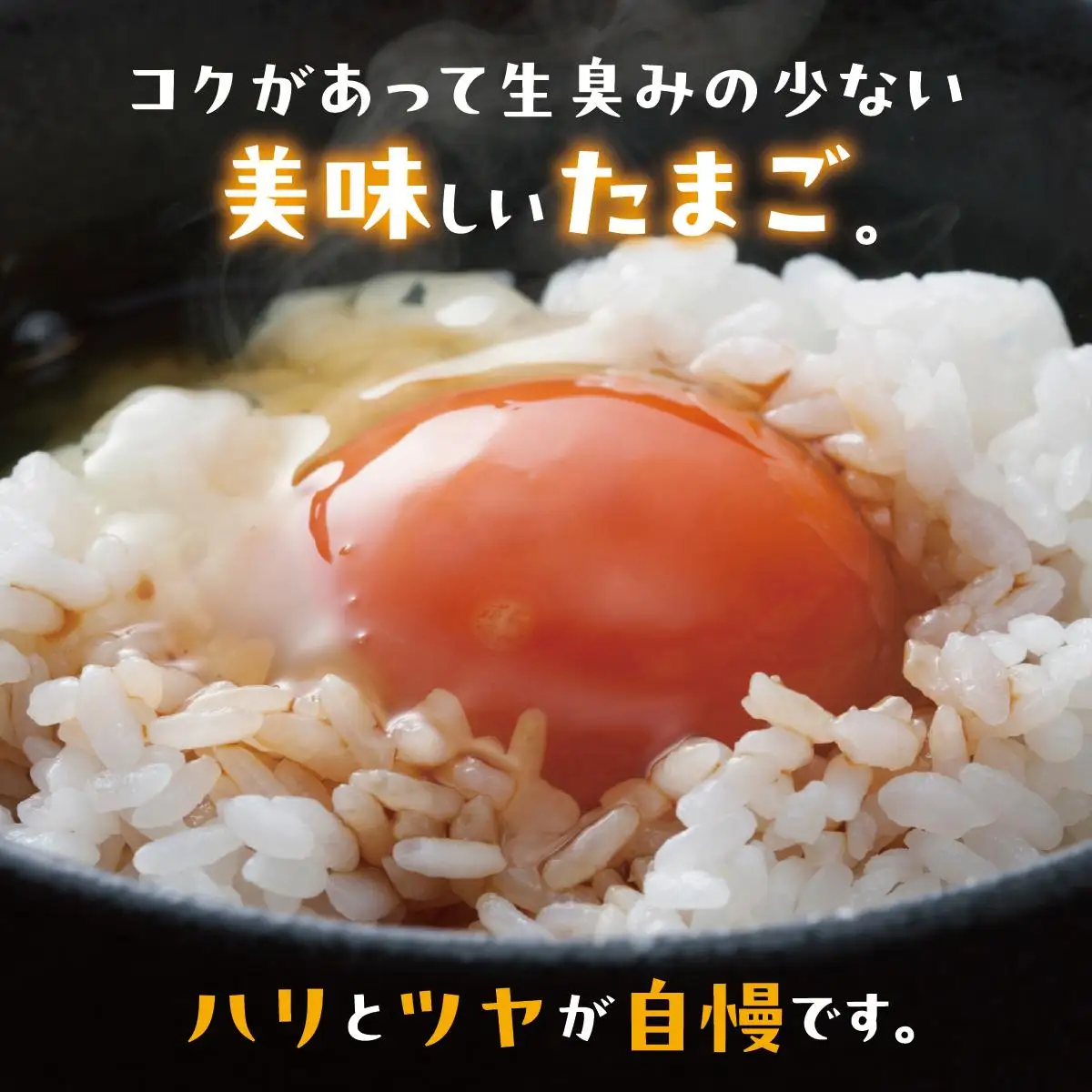 美ら卵養鶏場の卵 120個【6ヶ月定期便】   