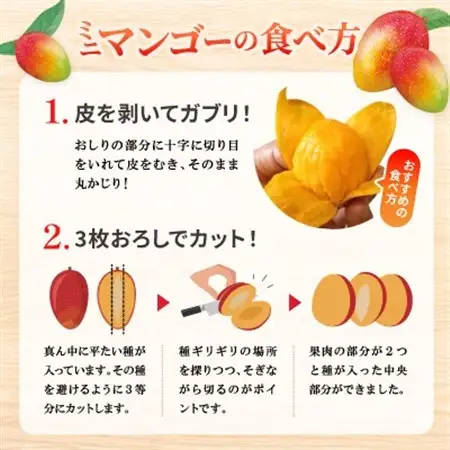 【2027年6月下旬から順次発送】数量限定の訳ありミニマンゴー1kg【配送不可地域：離島】【1634008】