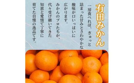 家庭用 有田 みかん 定期便 【5kg×3回】 / 温州みかん 有田みかん 甘い 訳あり 和歌山 有田 5kg ※北海道・沖縄・離島への配送不可 【ikd050-mikc-5-3A】
