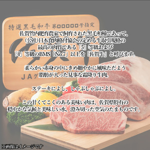 佐賀牛ハンバーグプレーン 17個 佐賀牛100％ 国産牛 和牛 佐賀牛 ブランド牛 牛肉 肉 高級 ハンバーグ おかず 夕飯 人気 おすすめ 簡単調理 レンジ調理 冷凍 佐賀県 太良町 NB50