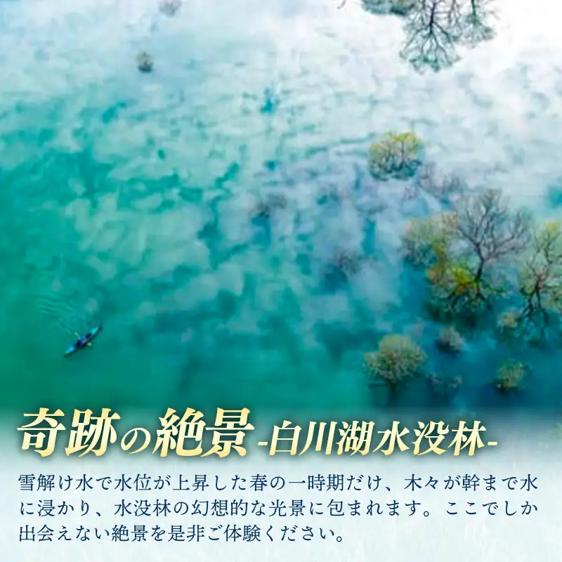 絶景 水没林カヌーツアー（2名様）癒しの自然満喫アクティビティ【フォトジェニックスポット】- 体験型 カヌー体験 レジャー カヌー 自然 白川湖 水没林 体験チケット アクティビティ 観光 アウトドア 山形県 飯豊町【価格改定】